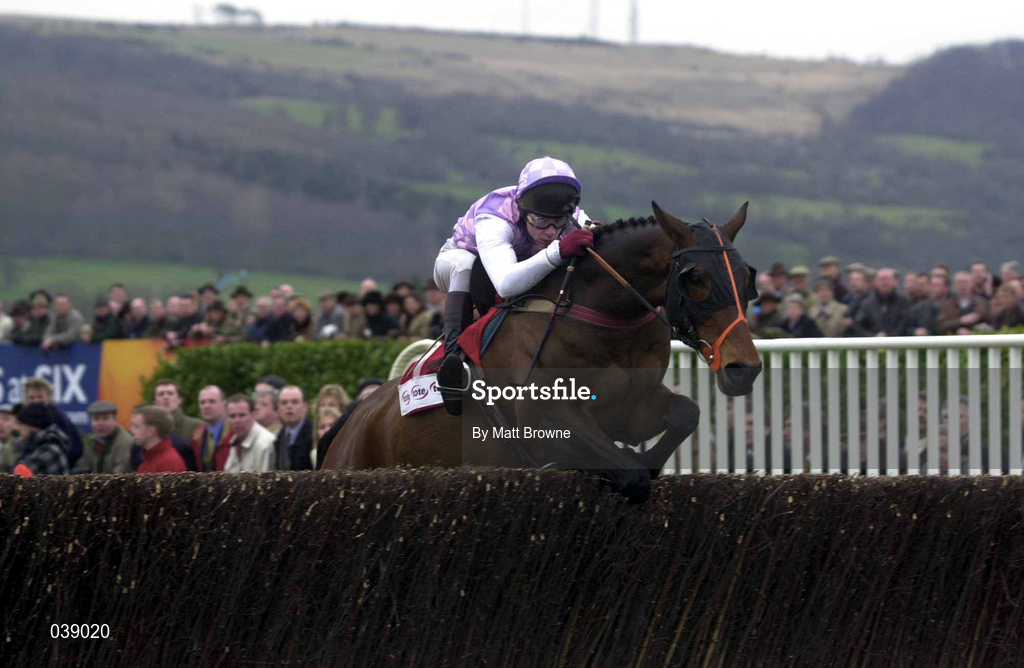 16 March 2000; See More Business, with Mick Fitzgerald up, jumps the last during the Tote Cheltenham Gold Cup Chase on Day Three of the Cheltenham Racing Festival at Prestbury Park in Cheltenham, England. Photo by Matt Browne/Sportsfile