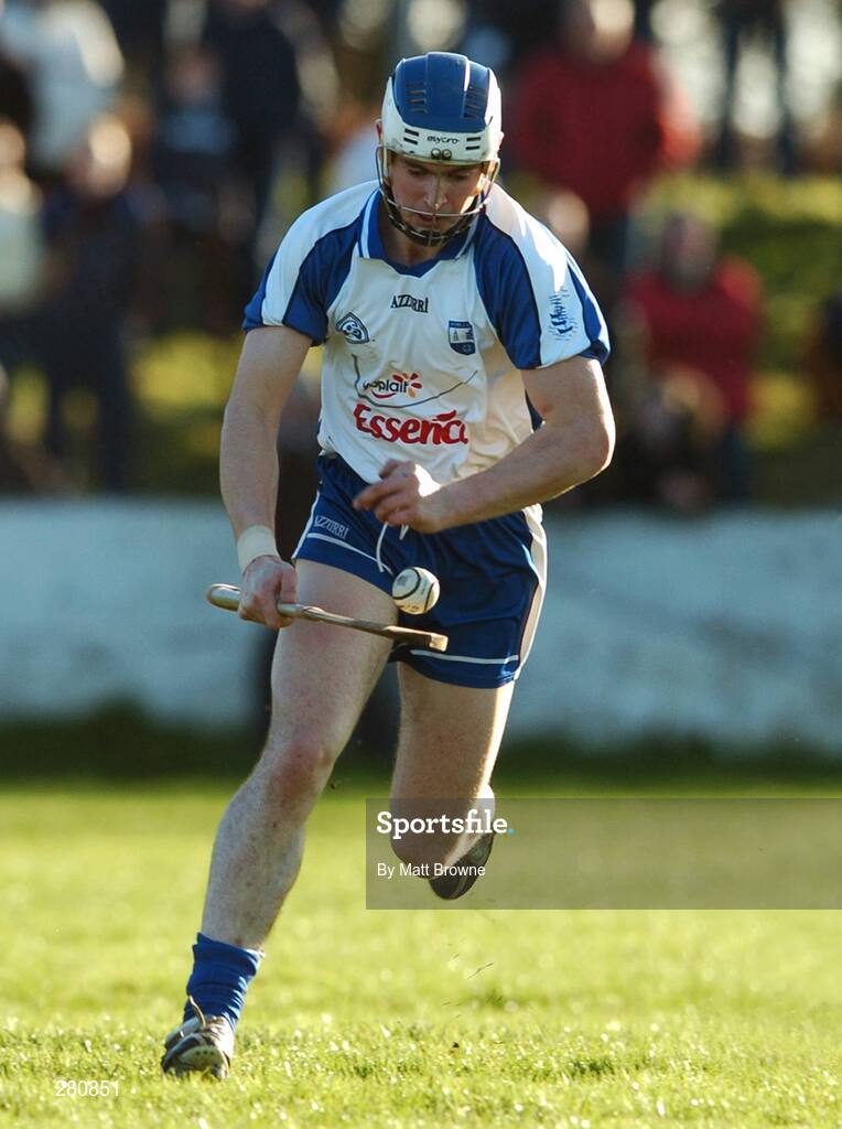 27 January 2008; Wayne Hutchinson, Waterford. Waterford Crystal Cup Final, Tipperary v Waterford, JK Brackens GAA Club, Templemore, Co. Tipperary. Picture credit; Matt Browne / SPORTSFILE
