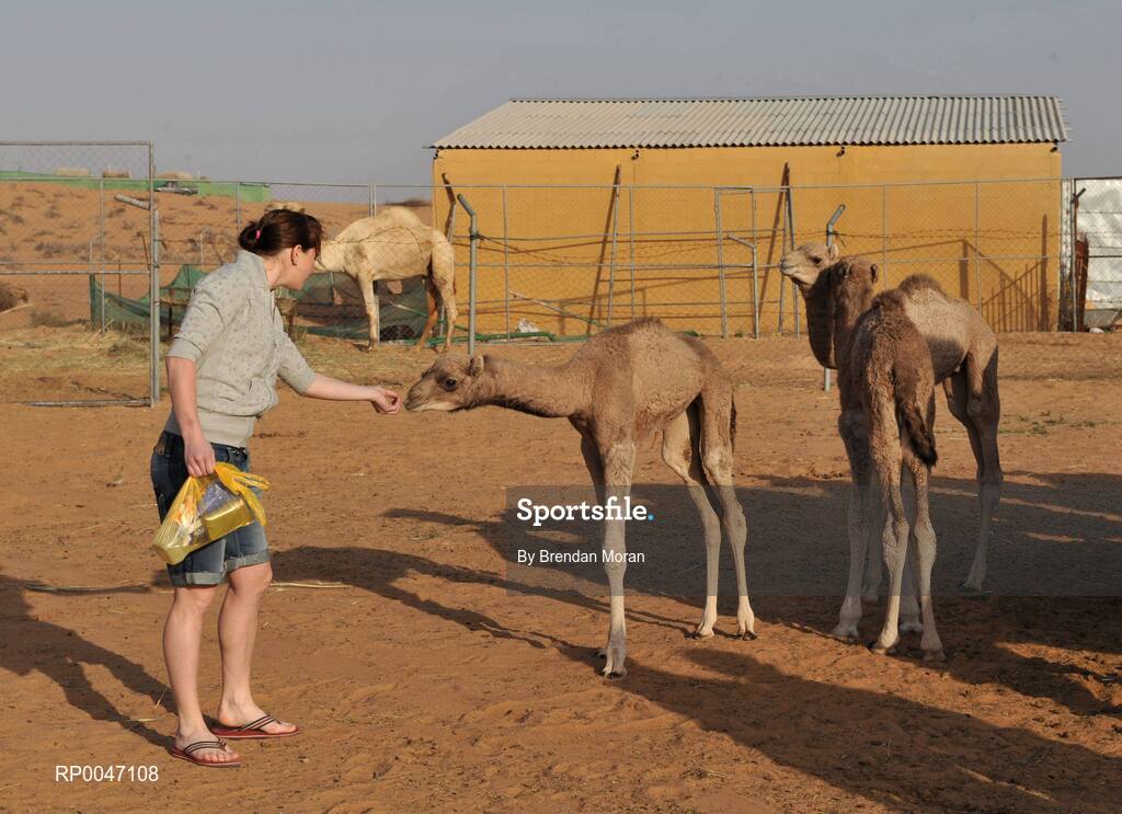 28 January 2008; Cork's Briege Corkery feeds a baby camel during a Safari trip. O'Neills/TG4 Ladies Gaelic Football All Star Tour 2007, Dubai, United Arab Emirates. Picture credit: Brendan Moran / SPORTSFILE  *** Local Caption ***
