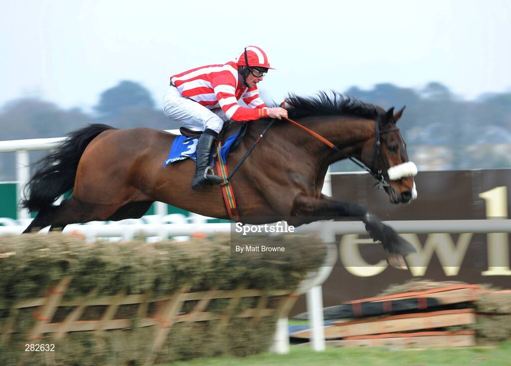 10 February 2008; Forpadydeplasterer, with Davy Russell up, jumps the last on the way to winning the Deloitte Novice Hurdle. Leopardstown Racecourse, Dublin. Picture credit; Matt Browne / SPORTSFILE
