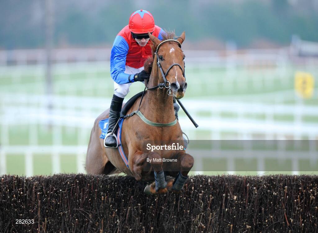 10 February 2008; J'y Vole, with Ruby Walsh up, jumps the last on the way to winning the Dr. PJ Moriarty Novice Steeplechase. Leopardstown Racecourse, Dublin. Picture credit; Matt Browne / SPORTSFILE