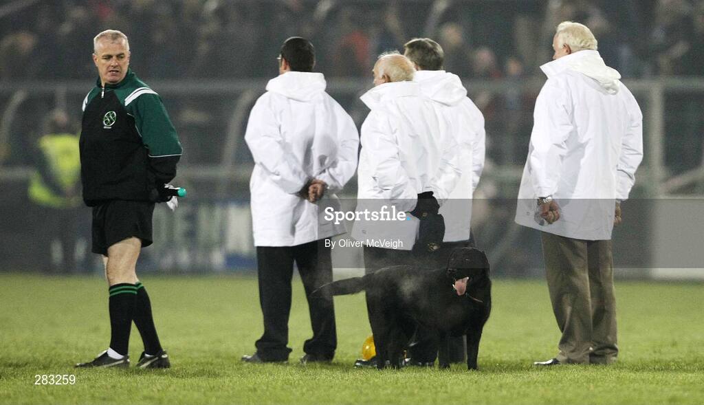 16 February 2008; A stray dog waits for the National Anthem. Allianz National Football League, Division 2, Round 2, Cavan v Monaghan, Kingspan Breffni Park, Cavan. Picture credit; Oliver McVeigh / SPORTSFILE