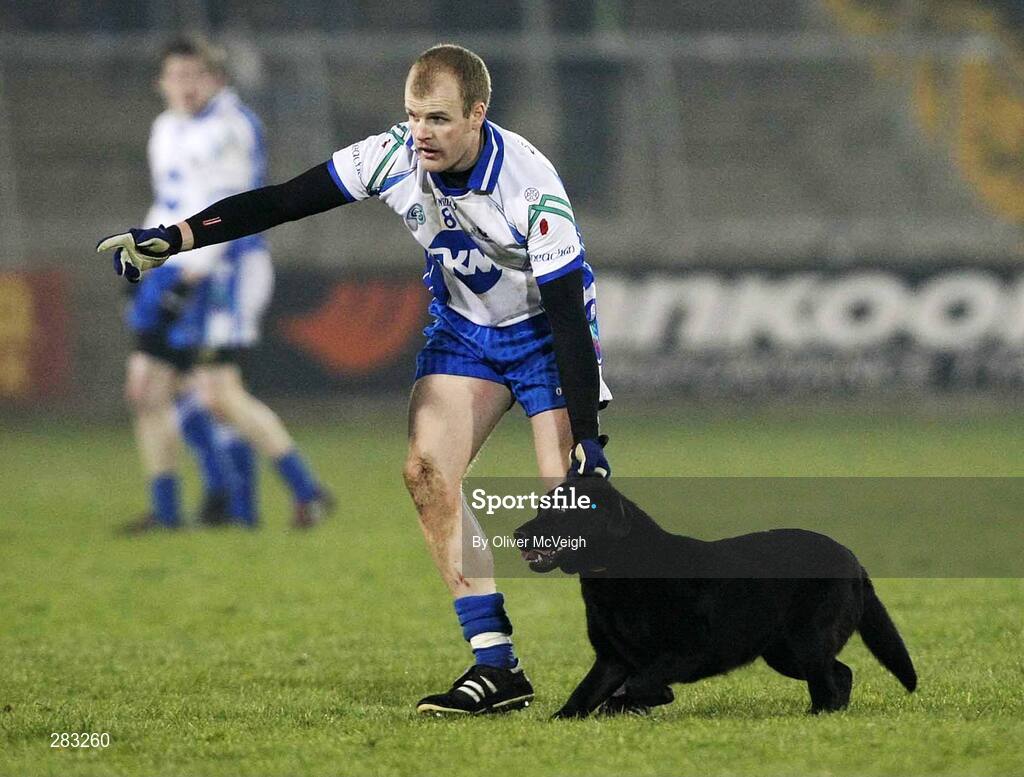 16 February 2008; DIck Clerkin, Monaghan, escorts a stray dog off the field. Allianz National Football League, Division 2, Round 2, Cavan v Monaghan, Kingspan Breffni Park, Cavan. Picture credit; Oliver McVeigh / SPORTSFILE