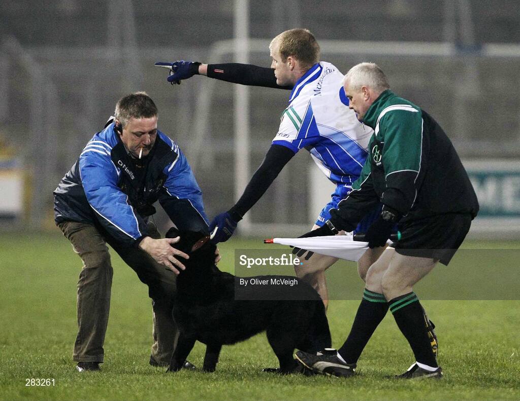 16 February 2008; Monaghan's DIck Clerkin with the help of an officall and the linesman escort a stray dog off the field. Allianz National Football League, Division 2, Round 2, Cavan v Monaghan, Kingspan Breffni Park, Cavan. Picture credit; Oliver McVeigh / SPORTSFILE