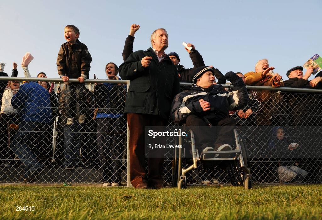 17 February 2008; Roscommon fans celebrate a score. Allianz National Football League, Division 2, Round 2, Roscommon v Meath, St. Brigid's, Kiltoom, Co. Roscommon. Picture credit; Brian Lawless / SPORTSFILE