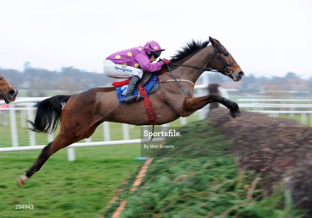 10 February 2008; Big Zeb, with Paul Carberry up, during the Dr. PJ Moriarty Novice Steeplechase. Leopardstown, Dublin. Picture credit; Matt Browne  / SPORTSFILE