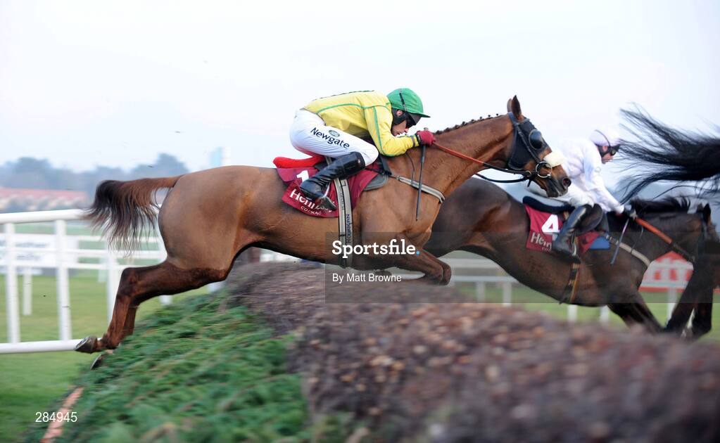 10 February 2008; Beef Or Salmon, with Paul Carberry up, during the Hennessy Cognac Gold Cup. Hennessy Cognac Gold Cup, Leopardstown, Dublin. Picture credit; Matt Browne  / SPORTSFILE