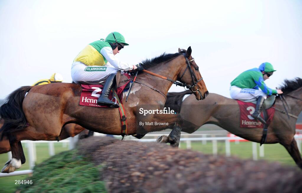 10 February 2008; Hedgehunter, with Barry Geraghty up, during the Hennessy Cognac Gold Cup. Hennessy Cognac Gold Cup, Leopardstown, Dublin. Picture credit; Matt Browne  / SPORTSFILE