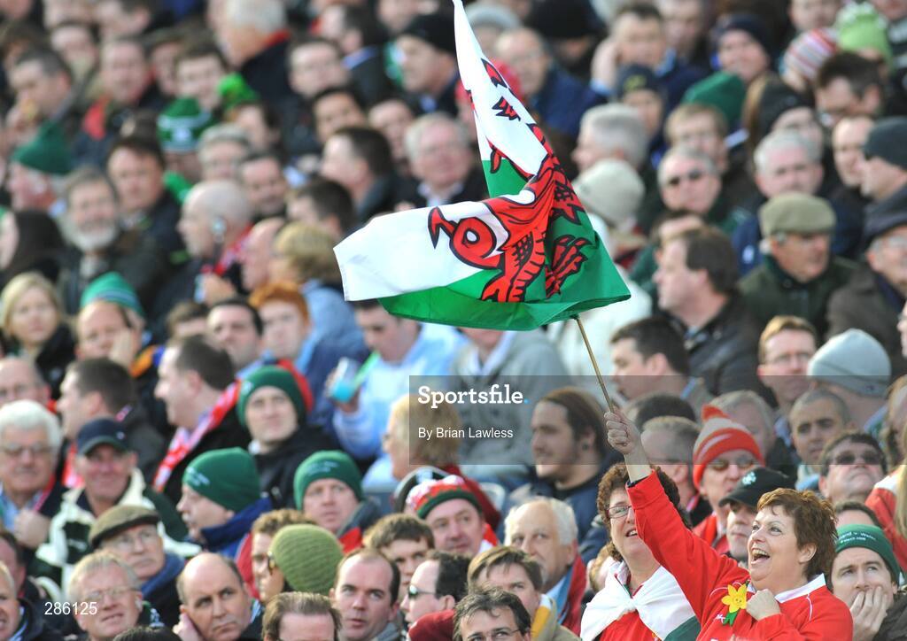 8 March 2008; A Wales fan celebrates the try. RBS Six Nations Rugby Championship, Ireland v Wales, Croke Park, Dublin. Picture credit: Brian Lawless / SPORTSFILE