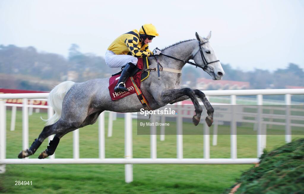 10 February 2008; The Listener, with Darryl Jacob up, during the Hennessy Cognac Gold Cup. Hennessy Cognac Gold Cup, Leopardstown, Dublin. Picture credit; Matt Browne  / SPORTSFILE