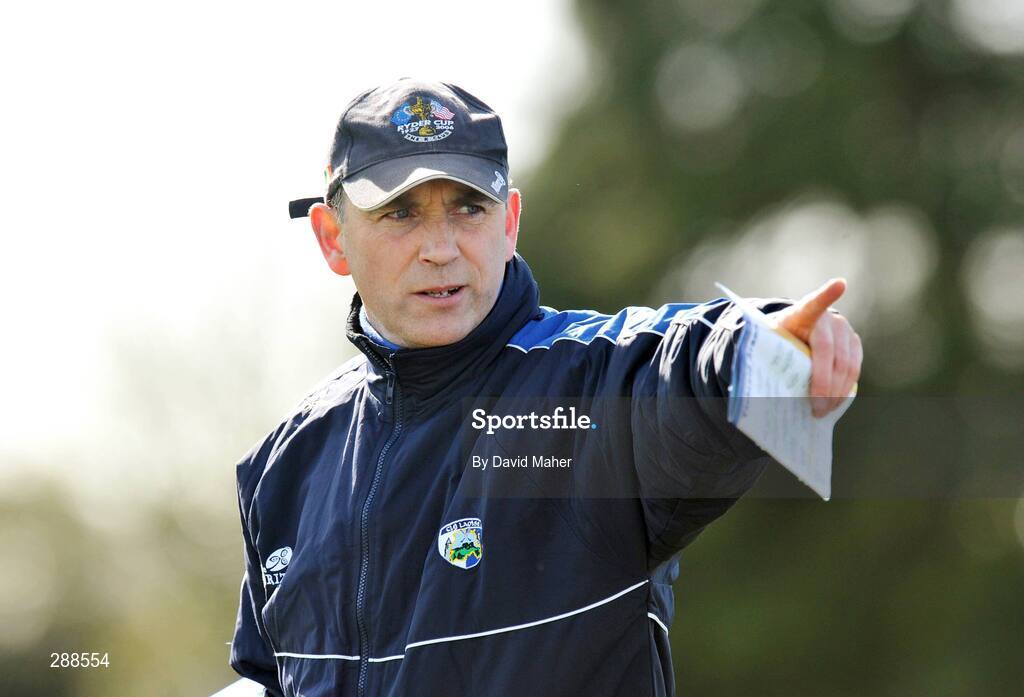 23 March 2008; Laois manager Damien Fox during the game. Allianz National Hurling League, Division 1A, Round 5, Tipperary v Laois, Leahy Park, Cashel, Co. Tipperary. Picture credit; David Maher / SPORTSFILE