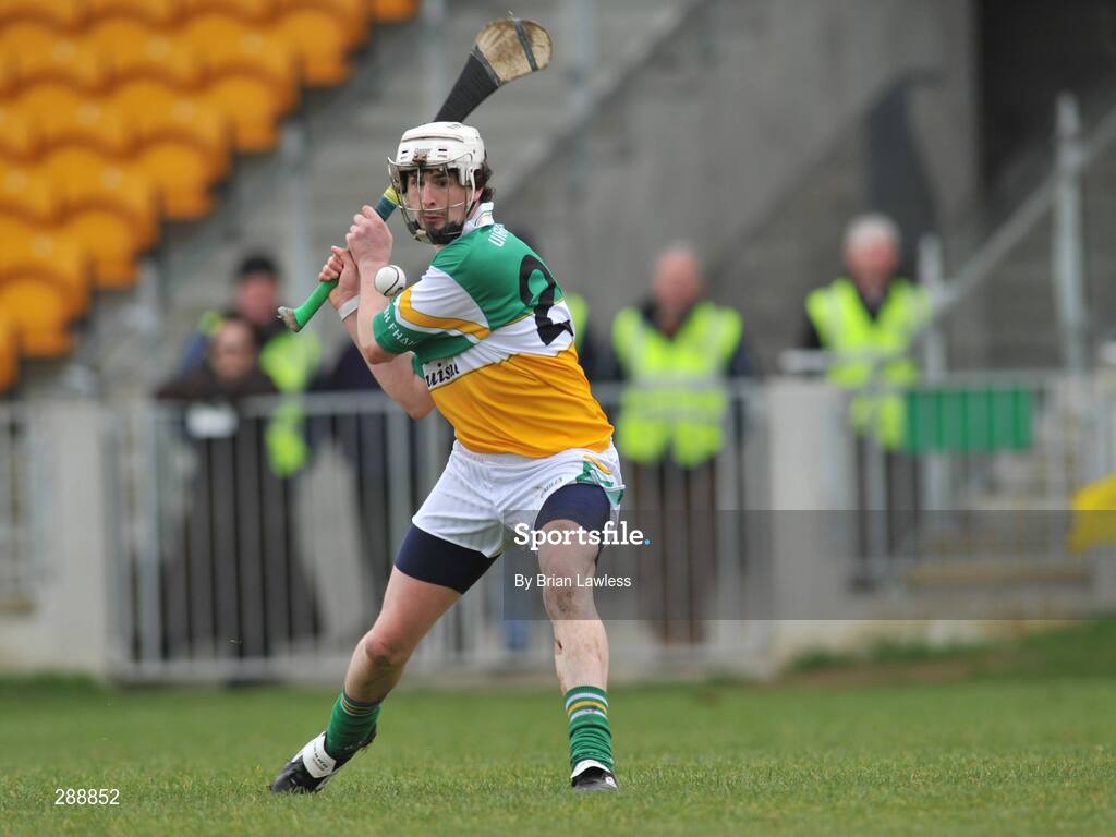 23 March 2008; Offaly's David Kenny. Allianz National Hurling League, Division 1A, Round 5, Offaly v Clare, O'Connor Park, Tullamore, Co. Offaly. Picture credit; Brian Lawless / SPORTSFILE