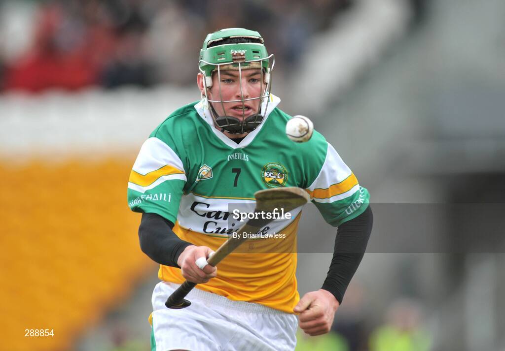 23 March 2008; Offaly's Joe Bergin. Allianz National Hurling League, Division 1A, Round 5, Offaly v Clare, O'Connor Park, Tullamore, Co. Offaly. Picture credit; Brian Lawless / SPORTSFILE