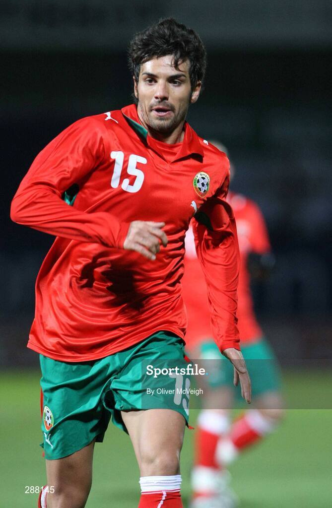 6 February 2008; Blagoy Georgiev, Bulgaria. International Friendly, Northern Ireland v Bulgaria, Windsor Park, Belfast, Co. Antrim. Picture credit; Oliver McVeigh / SPORTSFILE