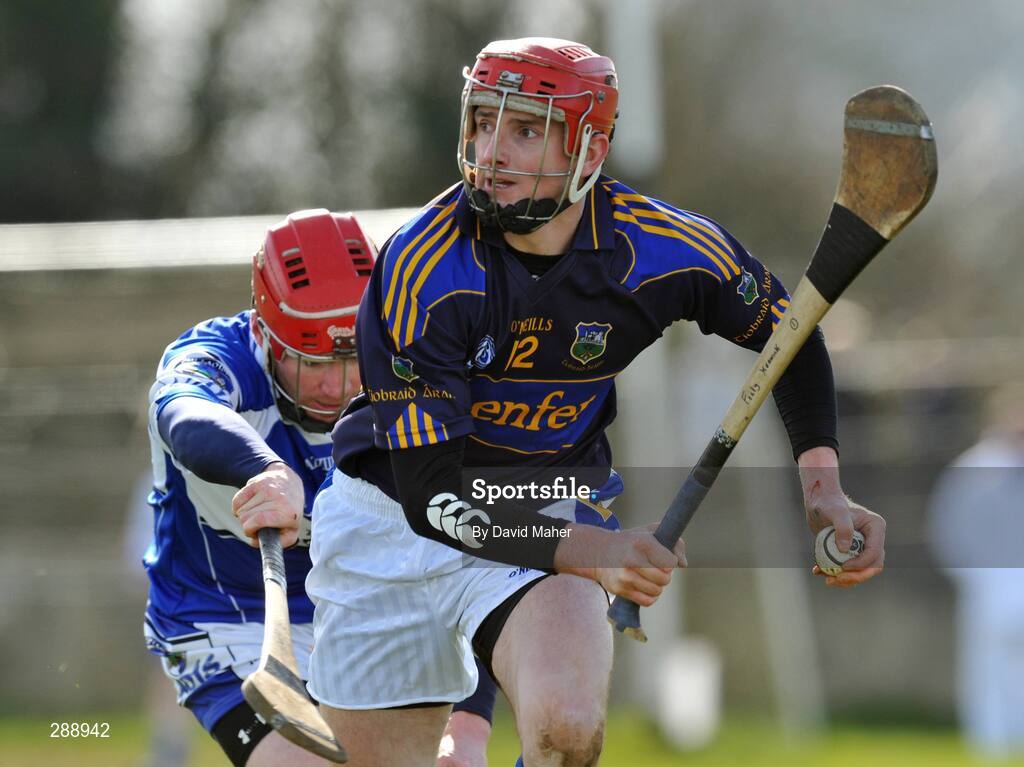 23 March 2008; Pat Kerwick, Tipperary. Allianz National Hurling League, Division 1A, Round 5, Tipperary v Laois, Leahy Park, Cashel, Co. Tipperary. Picture credit; David Maher / SPORTSFILE