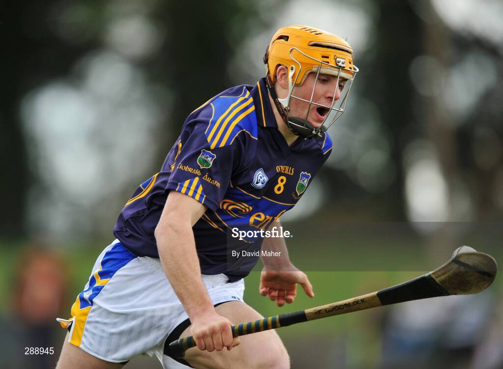 23 March 2008; James Woodlock, Tipperary. Allianz National Hurling League, Division 1A, Round 5, Tipperary v Laois, Leahy Park, Cashel, Co. Tipperary. Picture credit; David Maher / SPORTSFILE
