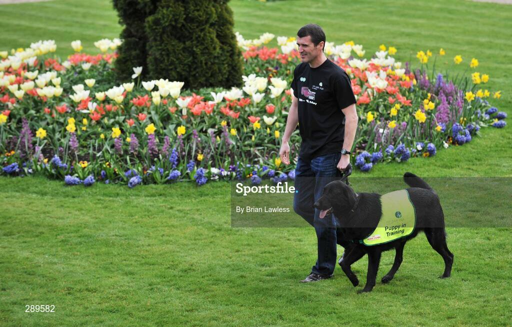 2 April 2008; Sunderland manager, Roy Keane, with Fritzi, a 5 month old Labrador x Golden Retriever in training at the launch of the Sixth Irish Guide Dogs for the Blind / Specsavers SHADES 2008 Campaign. Shades National Fundraising & awareness campaign week runs 5th - 10th May. The Radisson SAS, St Helens Hotel, Stillorgan, Dublin. Picture credit: Brian Lawless / SPORTSFILE