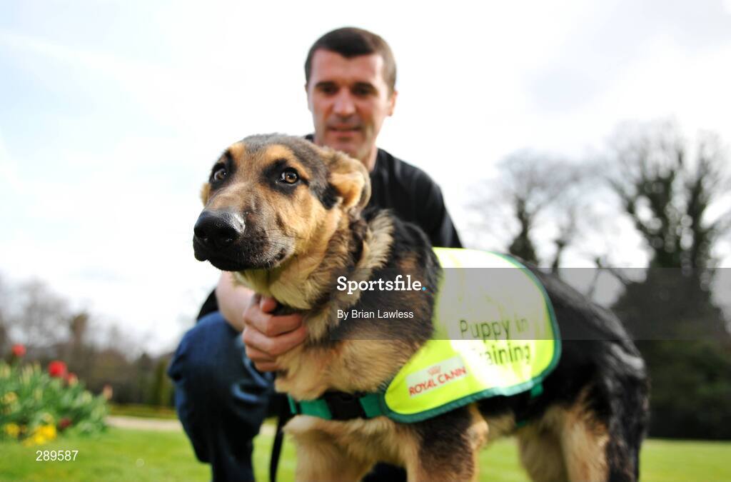 2 April 2008; Izac, a 4 month old German Shepard in training, receives some attention from Sunderland manager, Roy Keane, at the launch of the Sixth Irish Guide Dogs for the Blind / Specsavers SHADES 2008 Campaign. Shades National Fundraising & awareness campaign week runs 5th - 10th May. The Radisson SAS, St Helens Hotel, Stillorgan, Dublin. Picture credit: Brian Lawless / SPORTSFILE