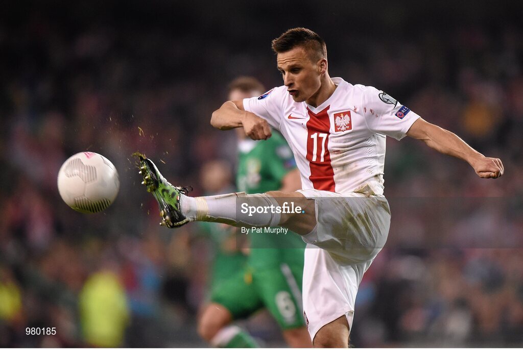 29 March 2015; Slawomir Peszkob, Poland. UEFA EURO 2016 Championship Qualifier, Group D, Republic of Ireland v Poland. Aviva Stadium, Lansdowne Road, Dublin. Picture credit: Pat Murphy / SPORTSFILE