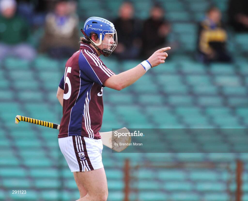 13 April 2008; Iarla Tannian, Galway, celebrates after scoring his side's first goal against Cork. Allianz National Hurling League, Division 1, semi-final, Cork v Galway, Gaelic Grounds, Limerick. Picture credit: Brendan Moran / SPORTSFILE
