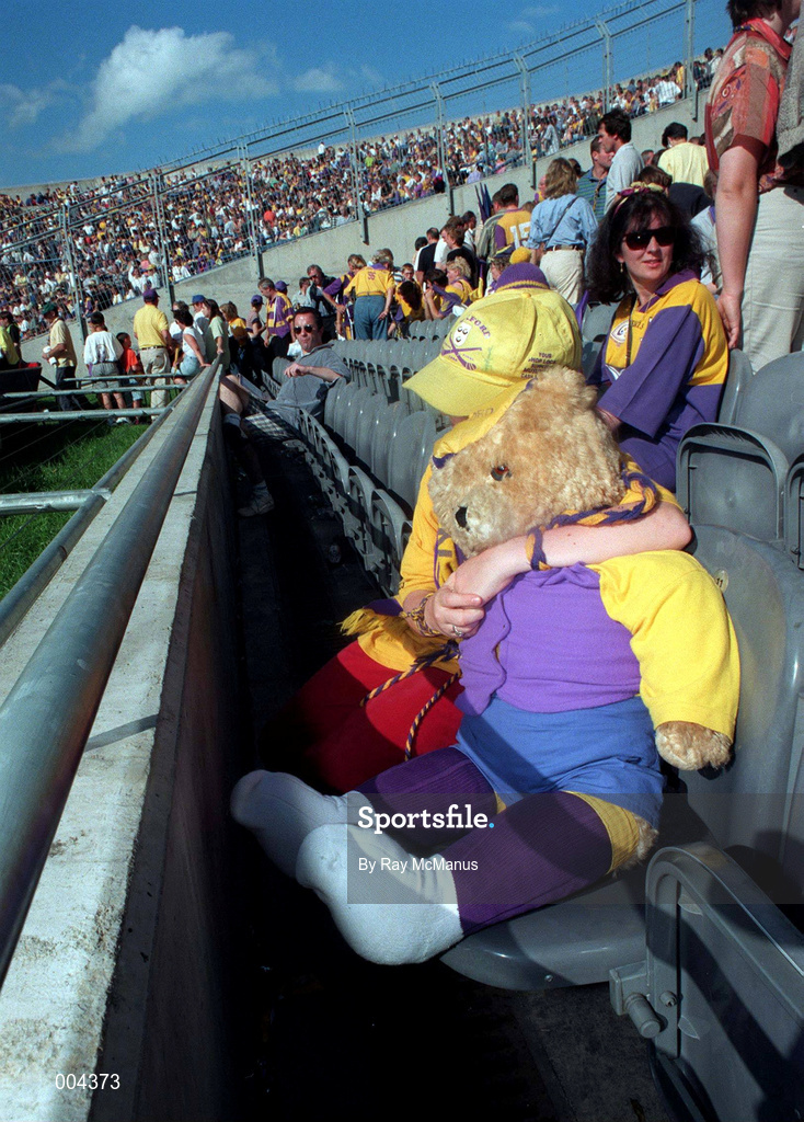 17 August 1997; Wexford fans in the new Cusack Stand following the GAA All-Ireland Senior Hurling Championship Semi-Final match between Tipperary and Wexford at Croke Park in Dublin. Photo by Ray McManus/Sportsfile