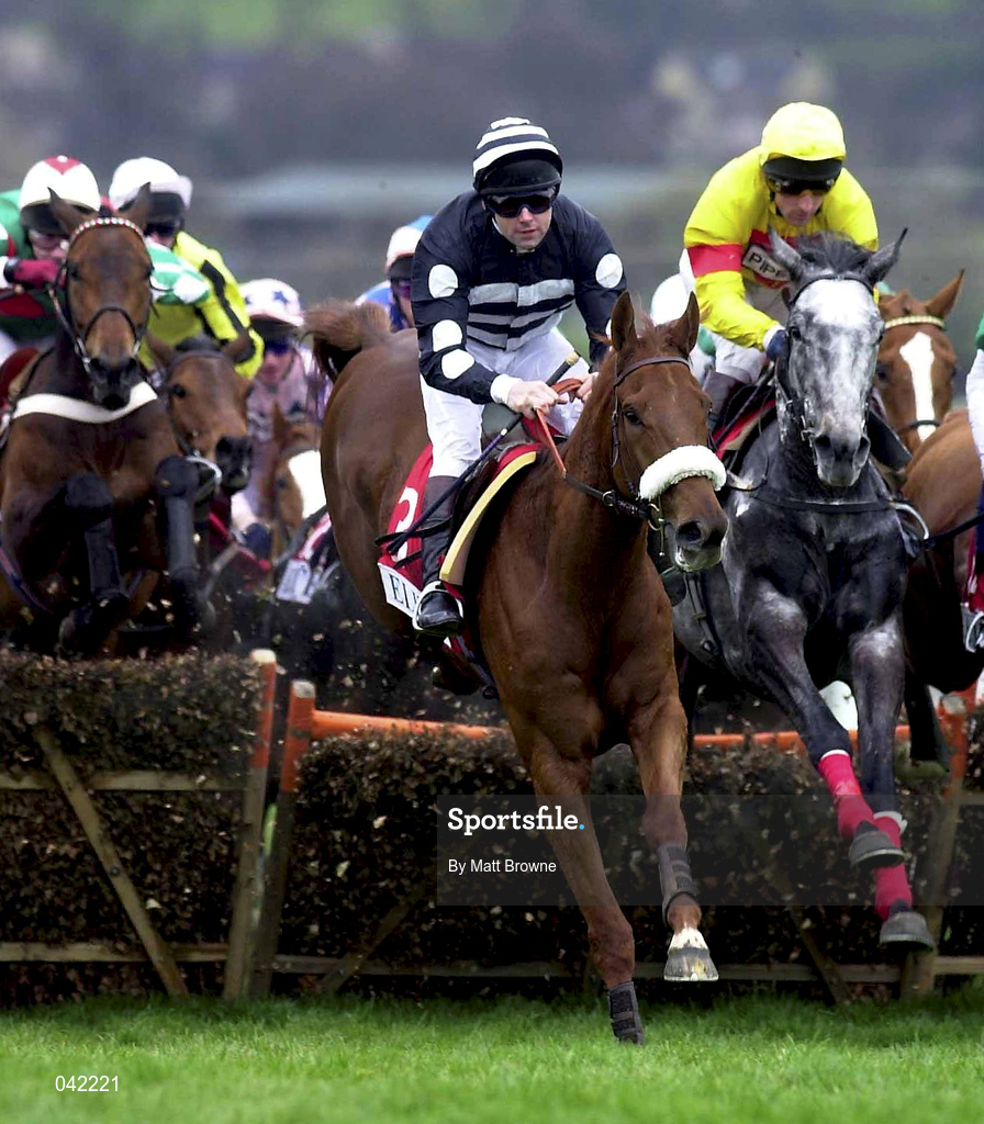 16 March 2000; Asador, with Conor O'Dwyer up, lead the field  first time round, during the Elite Racing Club Triumph Hurdle on Day Three of the Cheltenham Racing Festival at Prestbury Park in Cheltenham, England. Photo by Matt Browne/Sportsfile