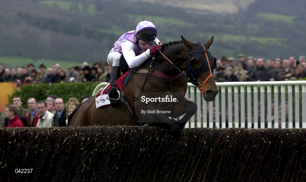 16 March 2000; See More Business, with Mick Fitzgerald up, lead the field first time round, during the Tote Cheltenhan Gold Cup Steeplechase on Day Three of the Cheltenham Racing Festival at Prestbury Park in Cheltenham, England. Photo by Matt Browne/Sportsfile
