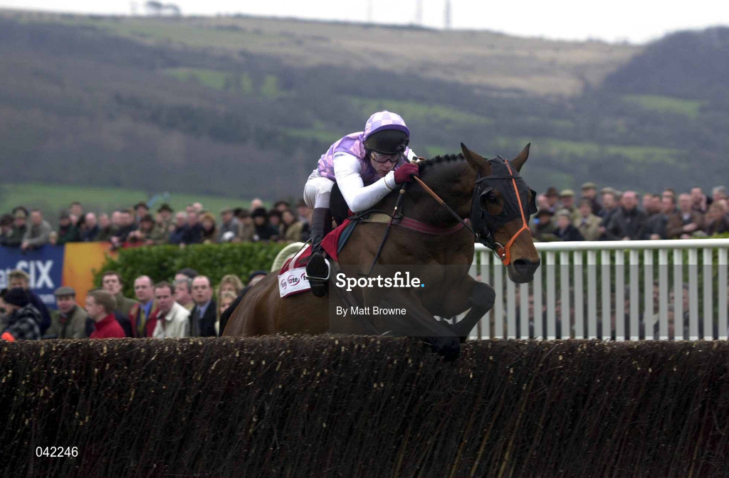 16 March 2000; See More Business with Mick Fitzgerald up, leads the field round during the Tote Cheltenham Gold Cup Chase on Day Three of the Cheltenham Racing Festival at Prestbury Park in Cheltenham, England. Photo by Matt Browne/Sportsfile