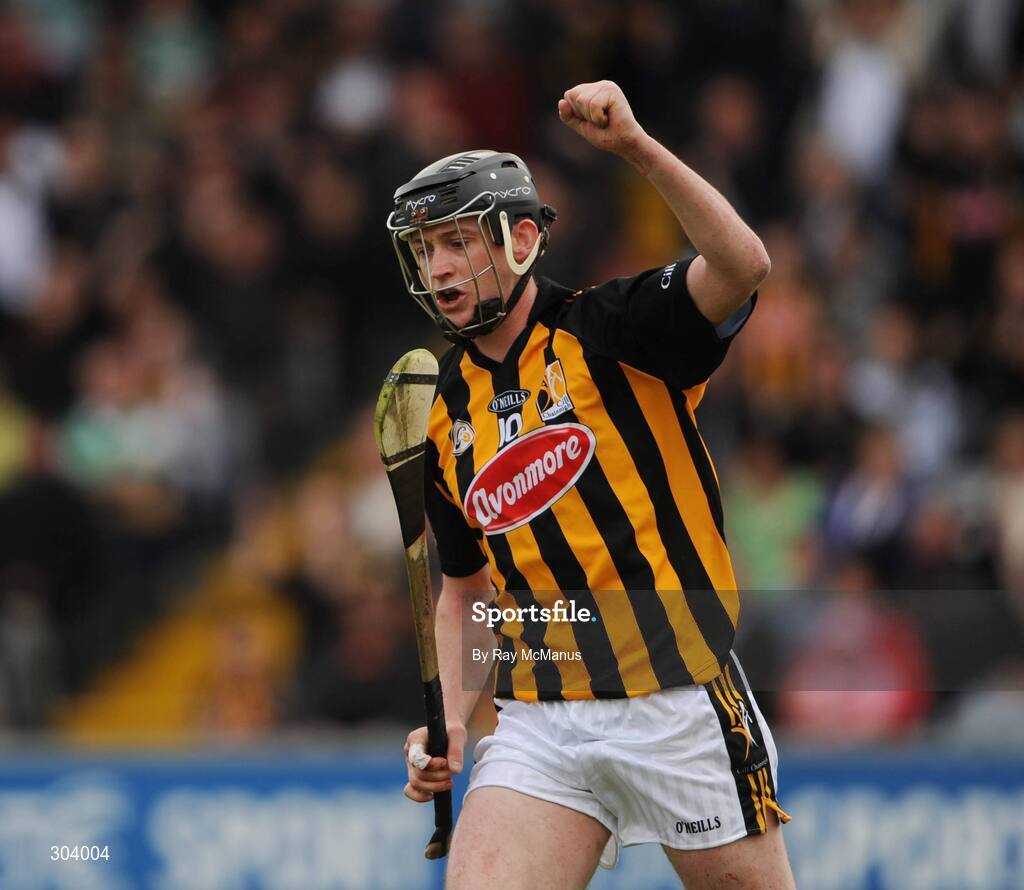 15 June 2008; Martin Comerford celebrates his first half goal for Kilkenny. GAA Hurling Leinster Senior Championship Semi-Final, Offaly v Kilkenny, O'Moore Park, Portlaoise, Co. Laois. Picture credit: Ray McManus / SPORTSFILE