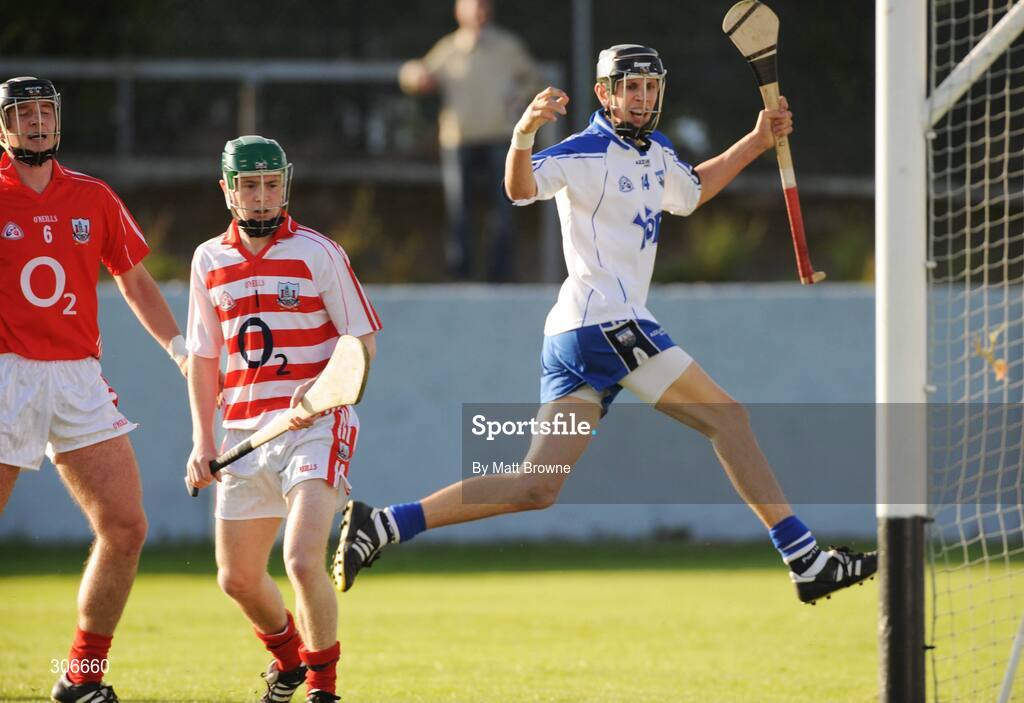 25 June 2008; Maurice Shanahan, Waterford, celebrates his goal. ESB Munster Minor Hurling Championship semi-final, Waterford v Cork, Walsh Park, Co. Waterford. Picture credit: Matt Browne / SPORTSFILE