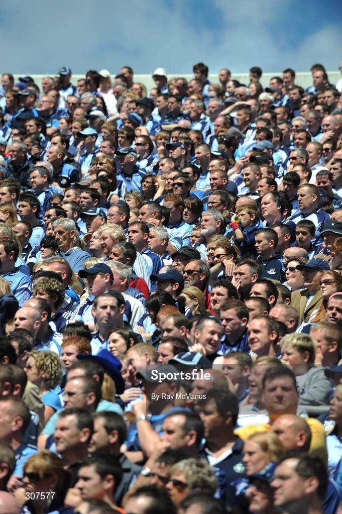 29 June 2008; Dublin supporters on Hill 16. GAA Football Leinster Senior Championship Semi-Final, Dublin v Westmeath, Croke Park, Dublin. Picture credit: Ray McManus / SPORTSFILE