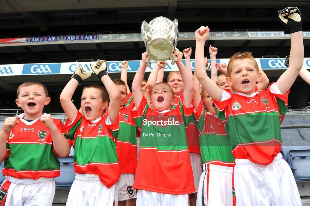 10 July 2008; The players from Rathnew, Co. Wicklow, lift the Liam MacCarthy cup during the Leinster - Play and Stay with GAA Go Games activity day which saw over 700 children under the age of 8 take part in games in both hurling and football on six pitches at Croke Park, Dublin. Picture credit: Pat Murphy / SPORTSFILE