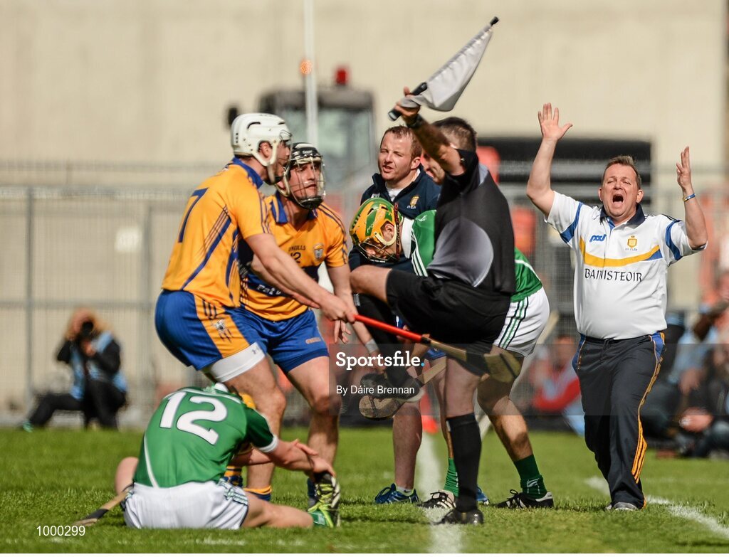 24 May 2015; Clare manager Davy Fitzgerald reacts to a decision by linesman Diarmuid Kirwan. Munster GAA Hurling Senior Championship Quarter-Final, Clare v Limerick. Semple Stadium, Thurles, Co. Tipperary. Picture credit: Dáire Brennan / SPORTSFILE
