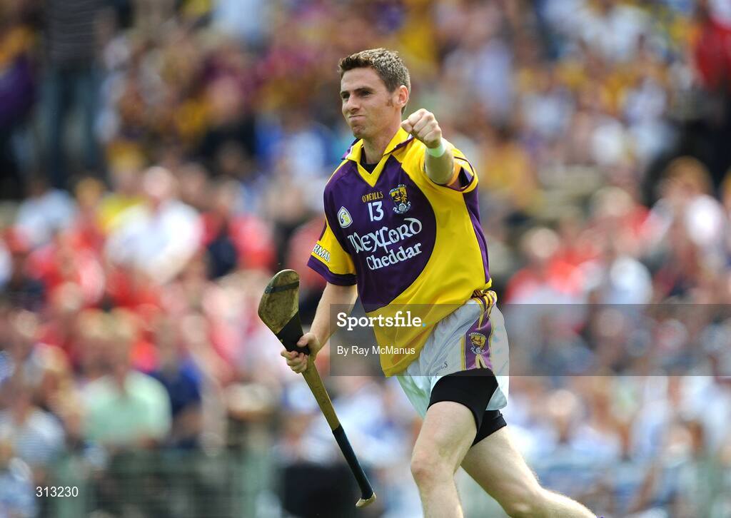 27 July 2008; Stephen Doyle celebrates his early goal for Wexford. GAA Hurling All-Ireland Senior Championship Quarter-Final, Wexford v Waterford, Semple Stadium, Thurles, Co. Tipperary. Picture credit: Ray McManus / SPORTSFILE