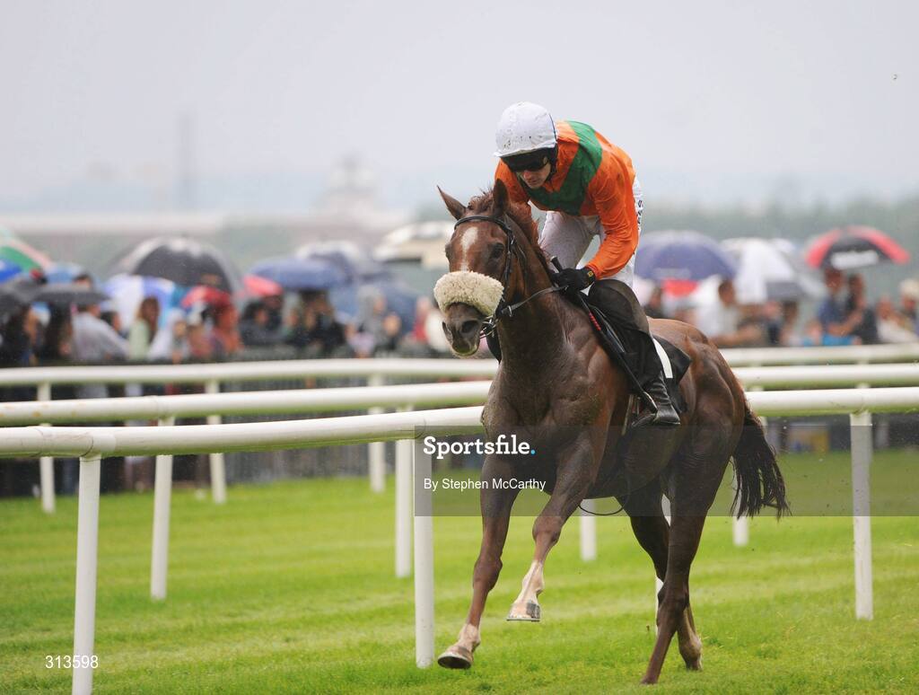 28 July 2008; Stage Manager, with Ruby Walsh up, on their way to winning the GPT Dublin Handicap Hurdle. Galway Racing Fesitval - Monday, Ballybrit, Galway. Picture credit: Stephen McCarthy / SPORTSFILE