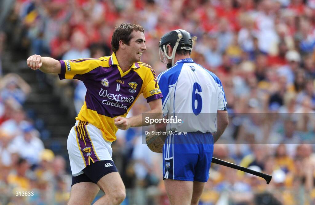 27 July 2008; Willie Doran, Wexford, celebrates after scoring his goal. GAA Hurling All-Ireland Senior Championship Quarter-Final, Wexford v Waterford, Semple Stadium, Thurles, Co. Tipperary. Picture credit: Stephen McCarthy / SPORTSFILE