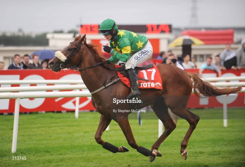 29 July 2008; Winterdown Star, with Thomas Ryan up, on their way to winning the Tote Placepot Races 1 to 6 Maiden Hurdle. Galway Racing Festival - Tuesday, Ballybrit, Galway. Picture credit: Stephen McCarthy / SPORTSFILE