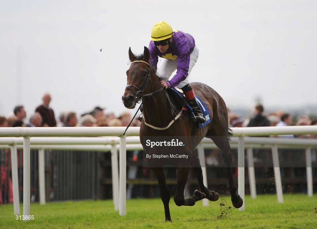 30 July 2008; Directa King, with Pat Smullen up, on their way to winning the William Hill 1800 333 555 Handicap. Galway Racing Festival - Wednesday, Ballybrit, Galway. Picture credit: Stephen McCarthy / SPORTSFILE