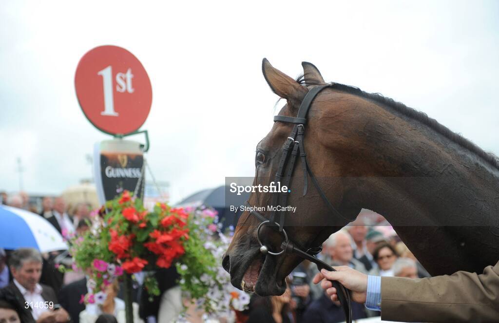 31 July 2008; Skip Two after winning the Guinness Novice Chase. Galway Racing Festival, Ballybrit, Co. Galway. Picture credit: Stephen McCarthy / SPORTSFILE