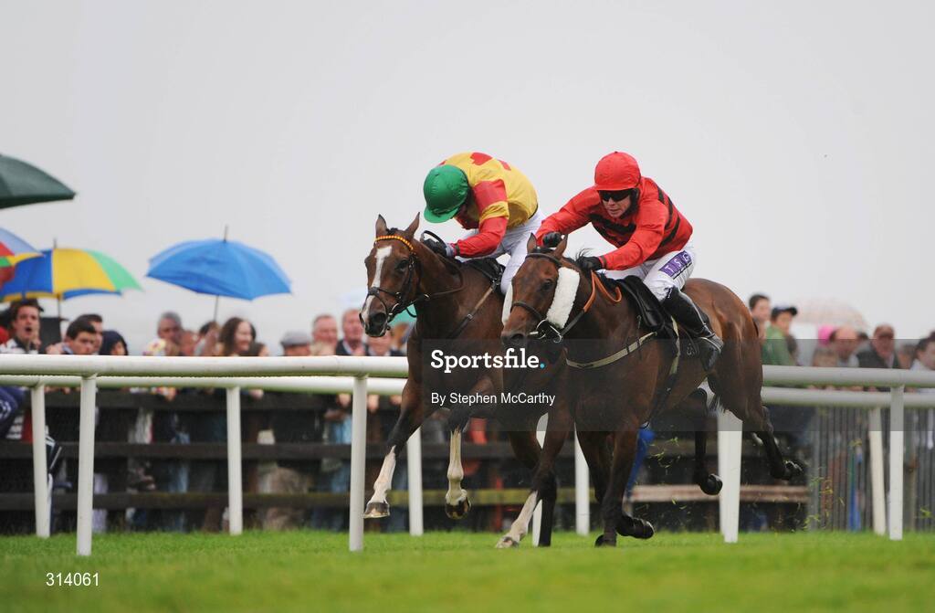 31 July 2008; Define, with Denis O'Regan up, right, on their way to winning the St. James's Gate Novice Hurdle from second place No Panic, with Tom O'Brien up. Galway Racing Festival - Thursday, Ballybrit, Co. Galway. Picture credit: Stephen McCarthy / SPORTSFILE