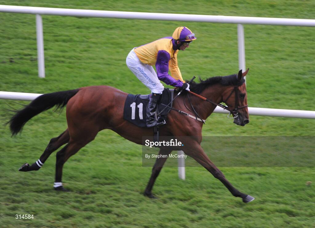 28 July 2008; Slan Abhaile, with Karl Manning up, make their way to the start ahead of the GPT Van & Truck Rentals Handicap. Galway Racing Fesitval - Monday, Ballybrit, Galway. Picture credit: Stephen McCarthy / SPORTSFILE