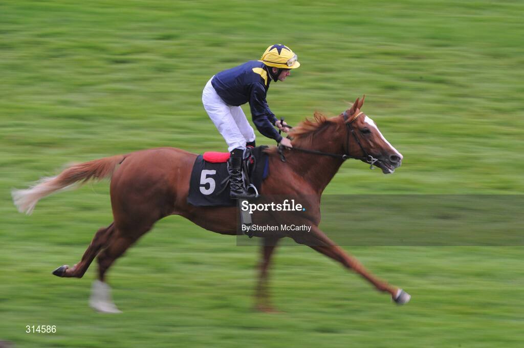 28 July 2008; Kilshannig, with Mick Kinnane up, make their way to the start ahead of the GPT Van & Truck Rentals Handicap. Galway Racing Fesitval - Monday, Ballybrit, Galway. Picture credit: Stephen McCarthy / SPORTSFILE