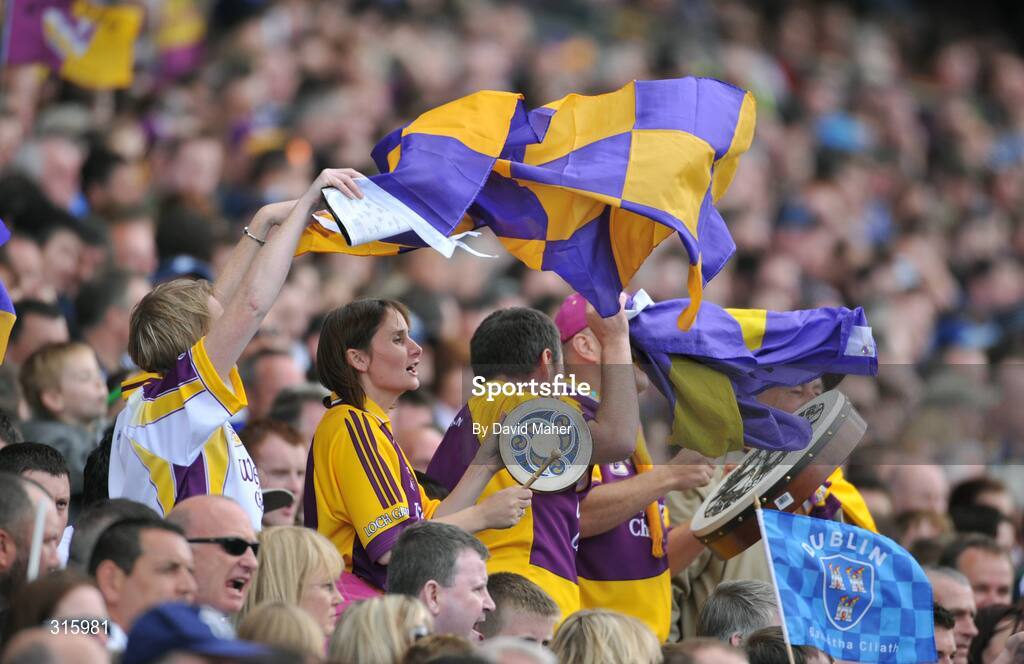 20 July 2008;Wexford supporters cheer on their team. GAA Football Leinster Senior Championship Final, Dublin v Wexford, Croke Park, Dublin. Picture credit: David Maher / SPORTSFILE