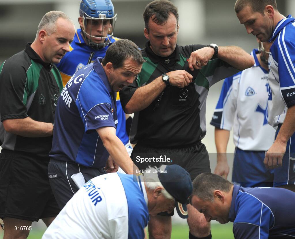 17 August 2008; Waterford manager Davy Fitzgerald remonstrates with referee Diarmuid Kirwan. GAA Hurling All-Ireland Senior Championship Semi-Final, Tipperary v Waterford, Croke Park, Dublin. Picture credit: Brian Lawless / SPORTSFILE