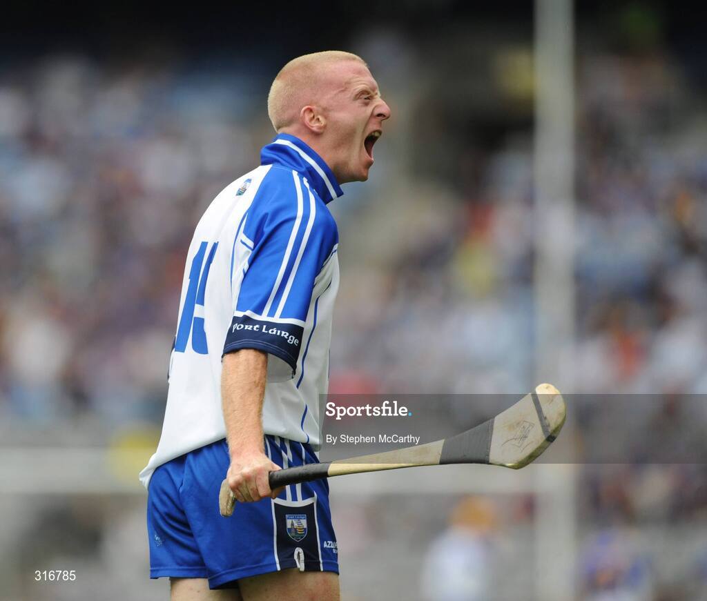 17 August 2008; John Mullane, Waterford, urges on his side's supporters during the game. GAA Hurling All-Ireland Senior Championship Semi-Final, Tipperary v Waterford, Croke Park, Dublin. Picture credit: Stephen McCarthy / SPORTSFILE