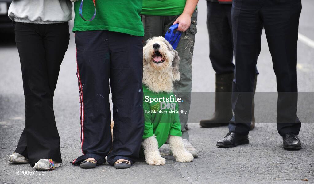 28 August 2008; A dog dressed in the An Post colours watches on as the town of Silvermines, Co. Tipperary, awaits the riders to pass through the An Post sponsored sprint. 2008 Tour of Ireland - Stage 2, Thurles - Loughrea. Picture credit: Stephen McCarthy / SPORTSFILE
