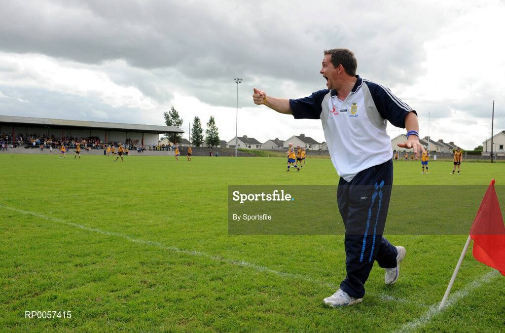 31 August 2008; Waterford senior hurling manager and trainer of Clare camogie team Davy Fitzgerald during the game. All-Ireland Minor A Championship Final, Clare v Kilkenny, Geraldine Park, Athy, Co. Kildare. Photo by Sportsfile