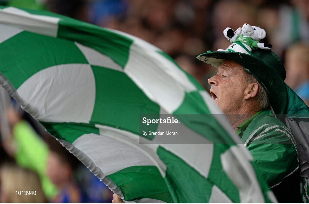 21 June 2015; A Limerick supporter cheers on his side during the game. Munster GAA Hurling Senior Championship, Semi-Final, Limerick v Tipperary, Gaelic Grounds, Limerick. Picture credit: Brendan Moran / SPORTSFILE