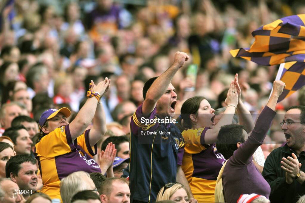 31 August 2008; Wexford supporters cheer on their team during the game. GAA Football All-Ireland Senior Championship Semi-Final, Tyrone v Wexford, Croke Park, Dublin. Picture credit: David Maher / SPORTSFILE
