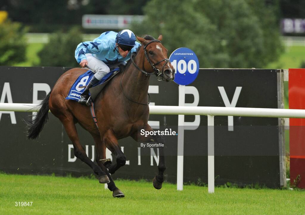 7 September 2008; Rain Rush, with Seamus Heffernan up, on their way to winning the Leopardstown Pavilion September Handicap. Horse Racing, Leopardstown, Dublin. Photo by Sportsfile
